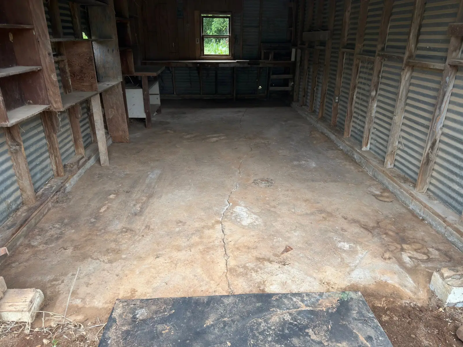 Shed & yard cleanout, after
