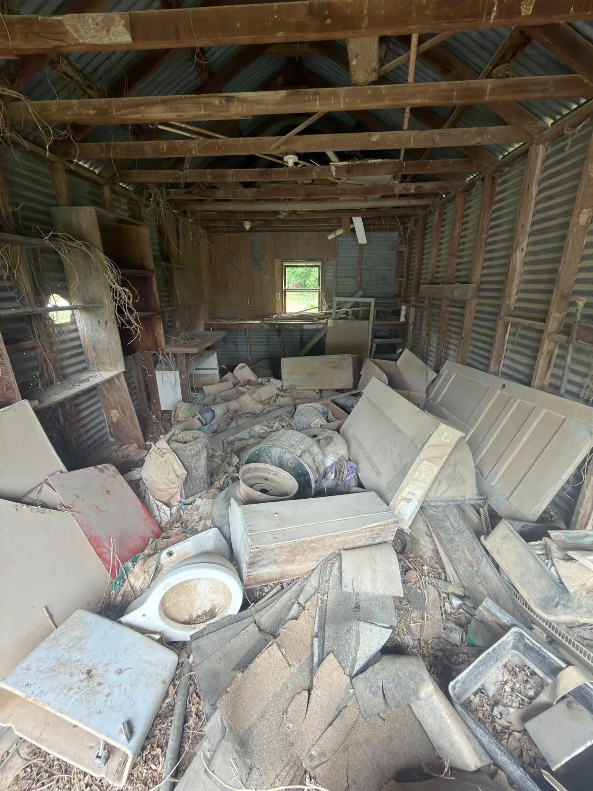 Shed & yard cleanout, before