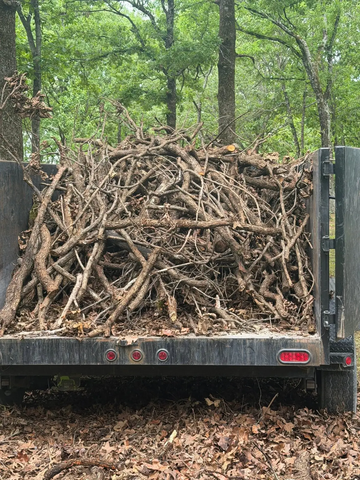 Brush pile hauled off, after