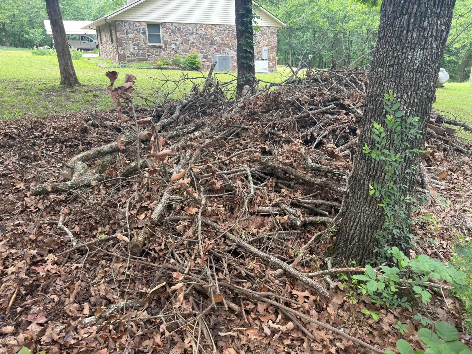 Brush pile hauled off, before