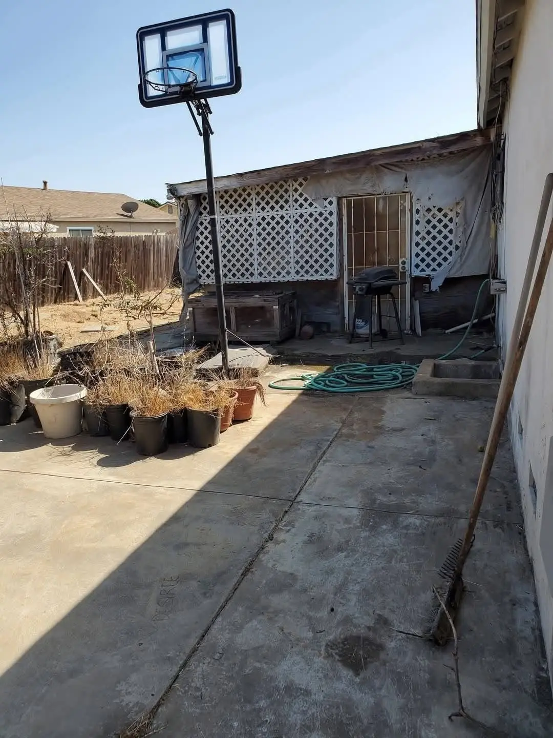 Lot & Yard Clearing, after